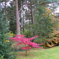 100_0521.jpg